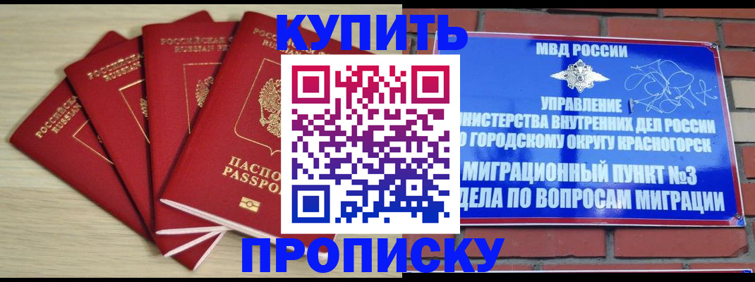 пропишу в квартире в Новом Осколе